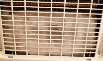 den-eichame-idea-ta-sovara-provlimata-ygeias-pou-prokalei-o-afygrantiras