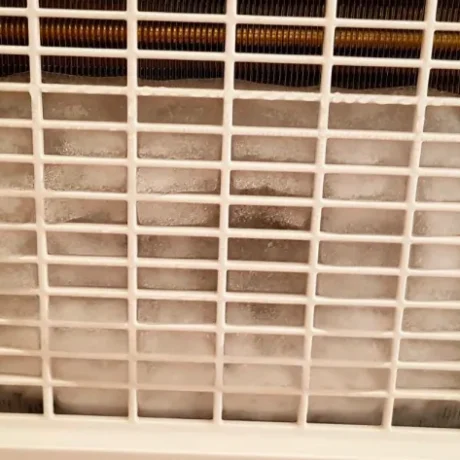 den-eichame-idea-ta-sovara-provlimata-ygeias-pou-prokalei-o-afygrantiras