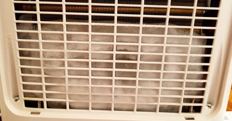 den-eichame-idea-ta-sovara-provlimata-ygeias-pou-prokalei-o-afygrantiras