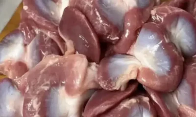 giati-prepei-na-trote-stomachia-kotopoulou