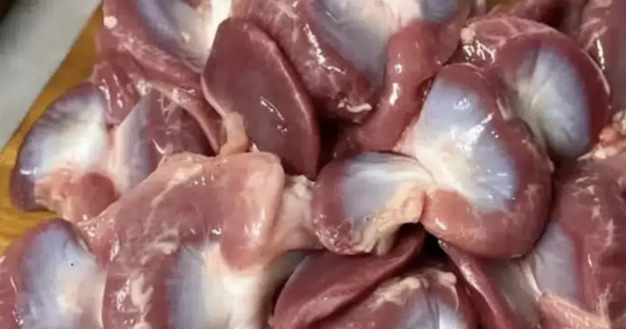 giati-prepei-na-trote-stomachia-kotopoulou