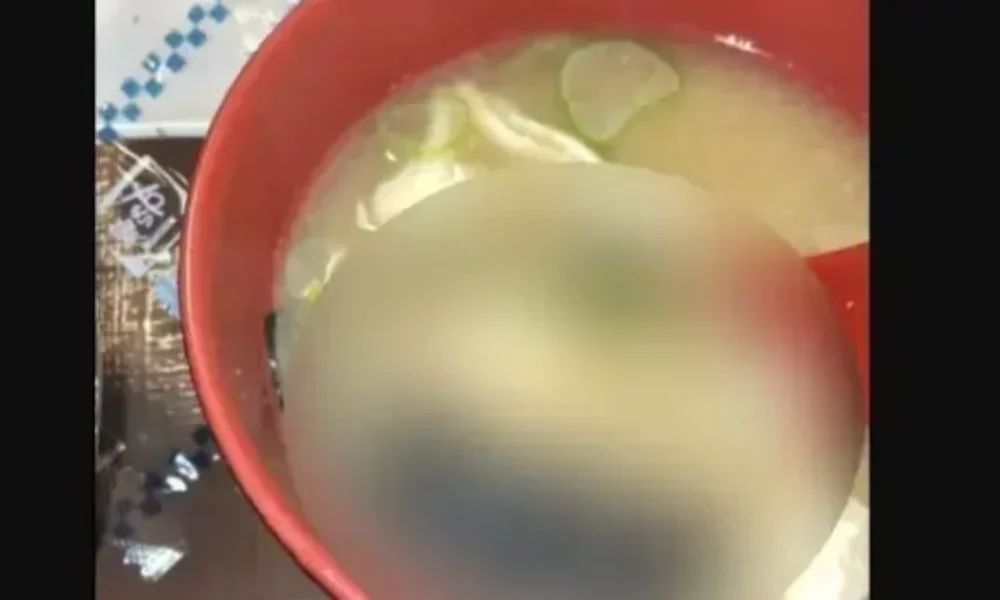 pontik-750×375-1-696×348-2