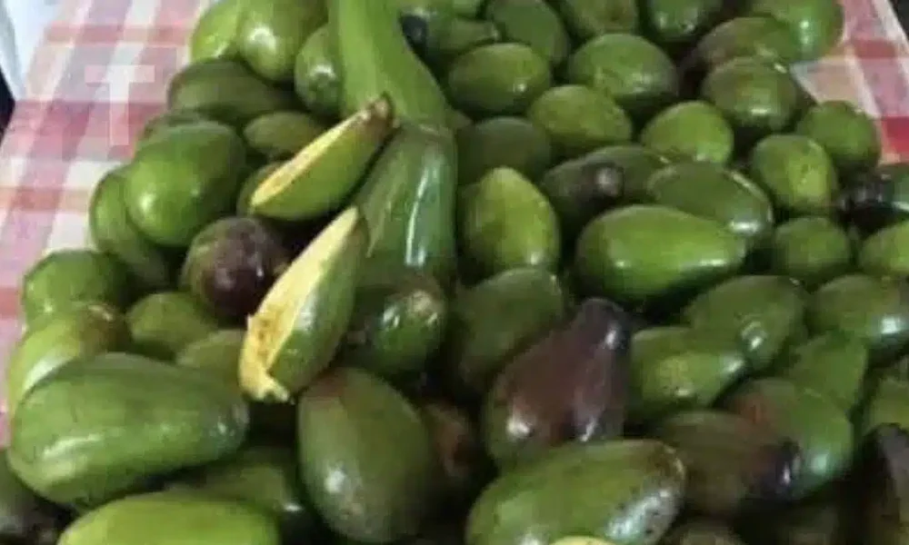 stigmiotypo-othonis-2025-09-04-19.08.43.jpg (1)