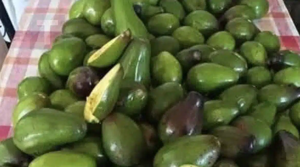 stigmiotypo-othonis-2025-09-04-19.08.43.jpg (1)