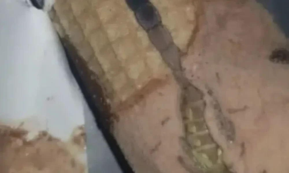 stigmiotypo-othonis-2025-10-23-17.27.35.jpg-660×320