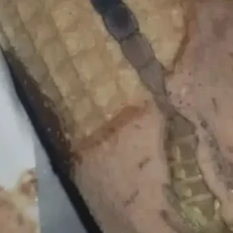 stigmiotypo-othonis-2025-10-23-17.27.35.jpg-660×320