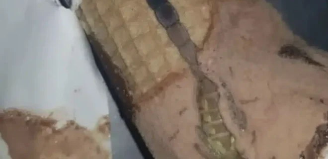 stigmiotypo-othonis-2025-10-23-17.27.35.jpg-660×320