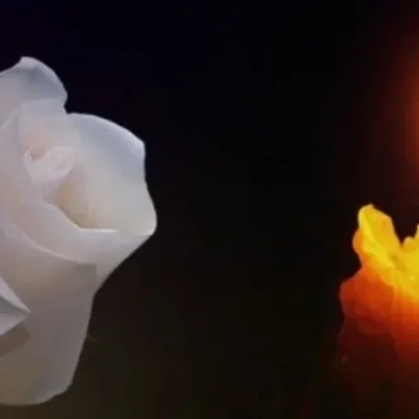 thpnvos-pethave-7chrono-koritsaki (1)