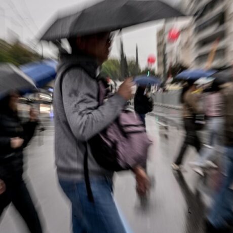 2aa78a4aae1f436ea532a9c7947b5219