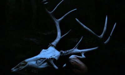 miniaies-provlepseis-dekemvriou-2025-ta-zodia-pou-tha-vrethoun-anamesa-se-erotika-dilimmata-kai-api_1764618144-1200×800