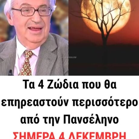 593466283_1435830211878524_8967086933251199802_n