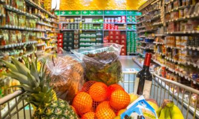 143102705_l-2048×1280-1-900×473