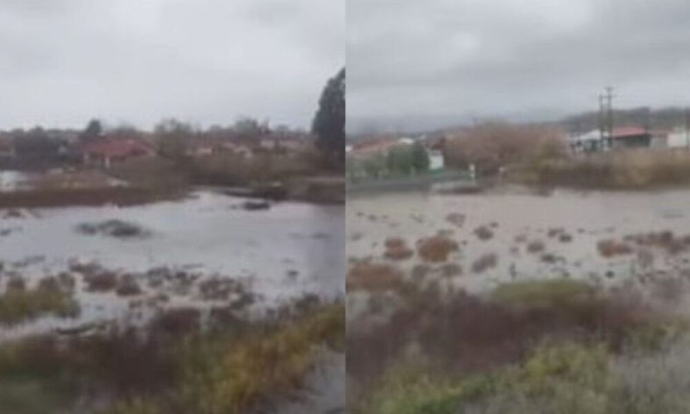 6eb99366-larisa-kakokairia-900×473