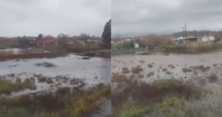 6eb99366-larisa-kakokairia-900×473