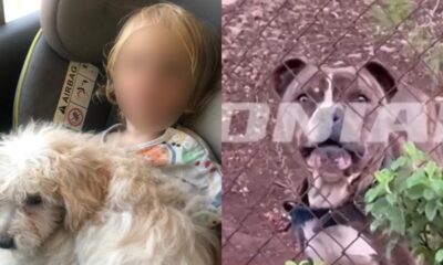 sok-molis-matheftike-gia-ton-2chrono-lio-pou