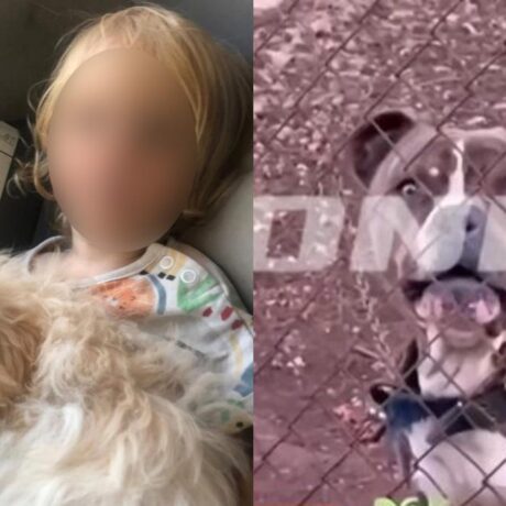 sok-molis-matheftike-gia-ton-2chrono-lio-pou