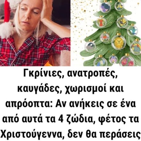 597341514_1394310672066449_8106368415505607722_n