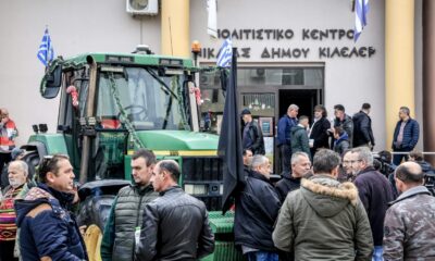 agrotes-larissa-1-1536×1024