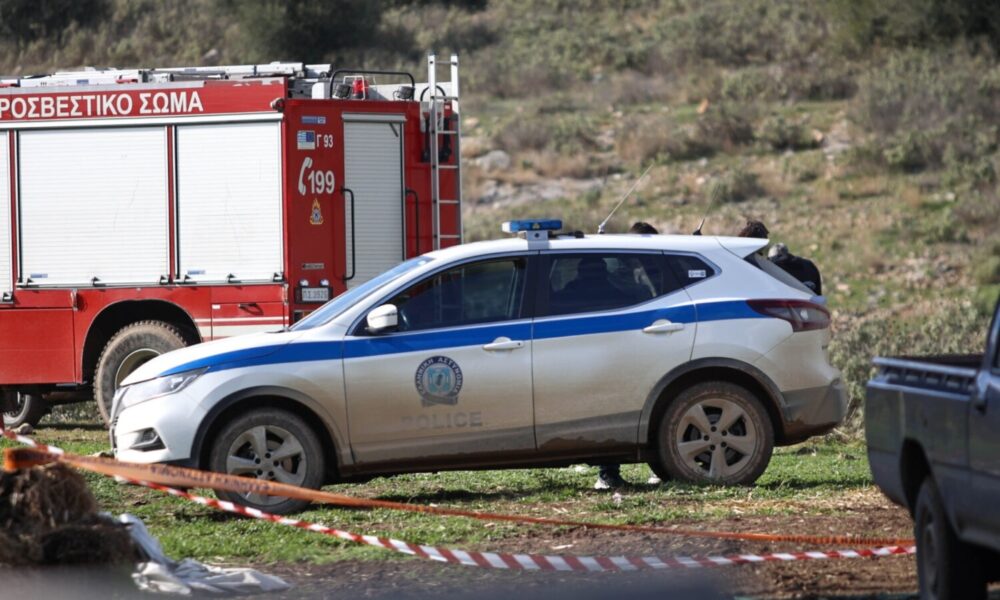 tragikos-epilogos-me-ti-soro-pou-entopise-kynigos