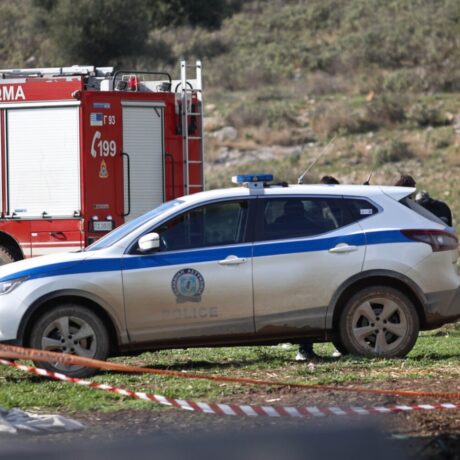 tragikos-epilogos-me-ti-soro-pou-entopise-kynigos