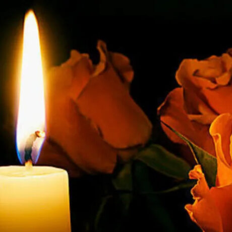 sok-nekri-agapimeni-ithopoios-8211-eiche-anakoinosei-egkymosyni (1)