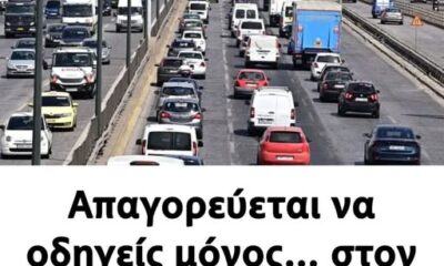 603766557_1170443991924900_5854450753304854470_n