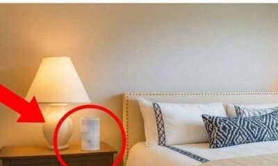 605190893_1171518318484134_2628908196408538936_n