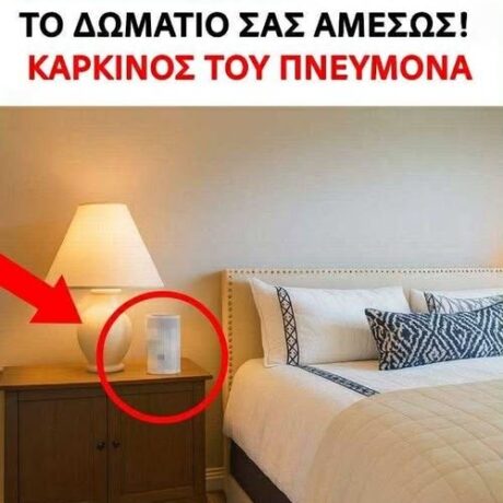 605190893_1171518318484134_2628908196408538936_n