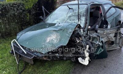 IMG_7653-alexandreia-gidas.gr_-750×375-1