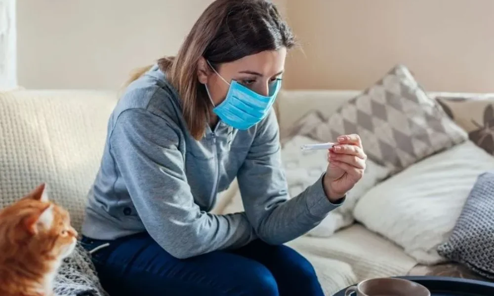 1aee7d4e-1766303282748-99751408-clipboard12-21-202501-900×600-1