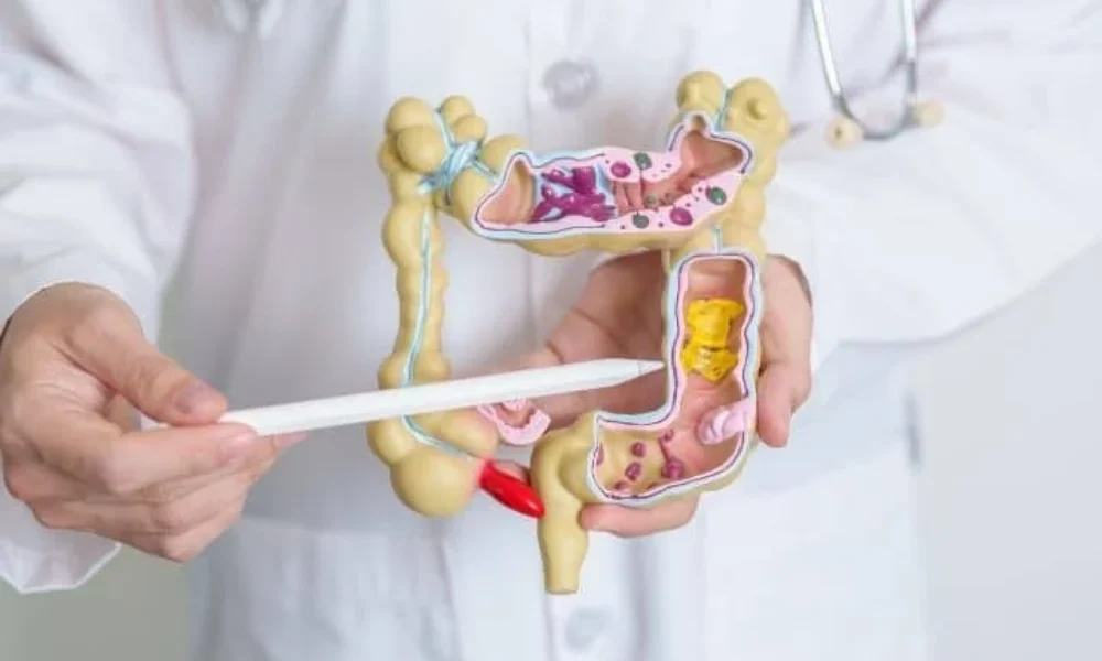 karkinos-pacheos-enteroy