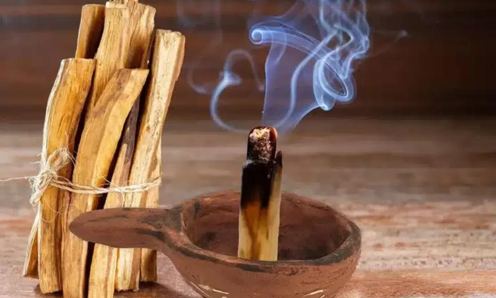 palo_santo__43884-768×513