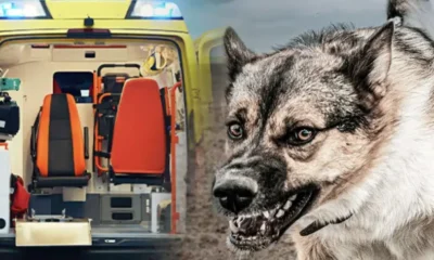 stigmiotypo-othonis-2025-12-06-17.49.38.jpg-900×473