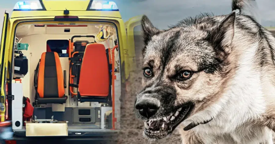 stigmiotypo-othonis-2025-12-06-17.49.38.jpg-900×473