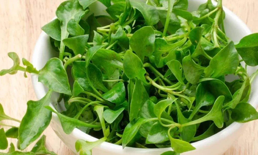 watercress