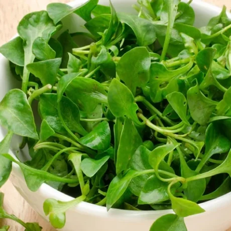 watercress