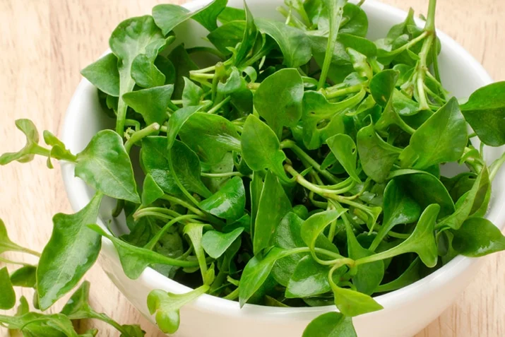 watercress