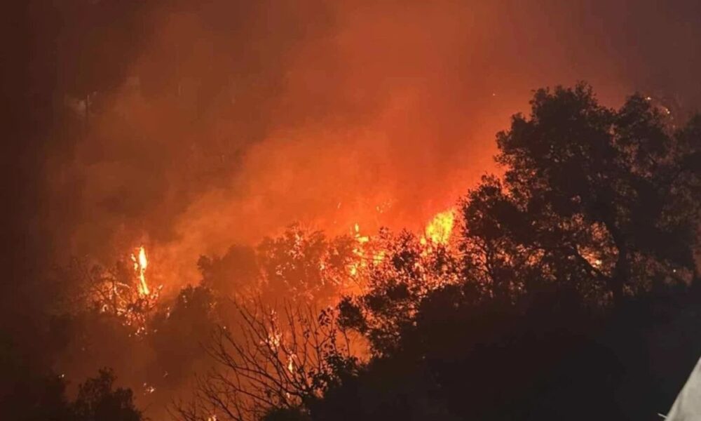 05293569-61151497125234487752890797499408129047633912n-1jpg