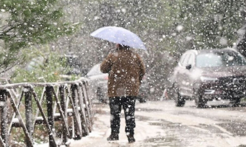 f4073d0d668c3771a6e57d185ff28ab8_L