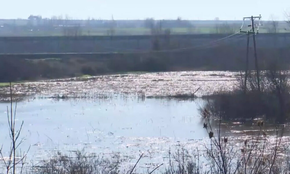 5d80678b-b7fe8558-7ac1-43ff-bdd9-71f344034b84