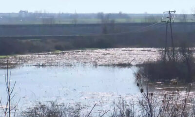 5d80678b-b7fe8558-7ac1-43ff-bdd9-71f344034b84