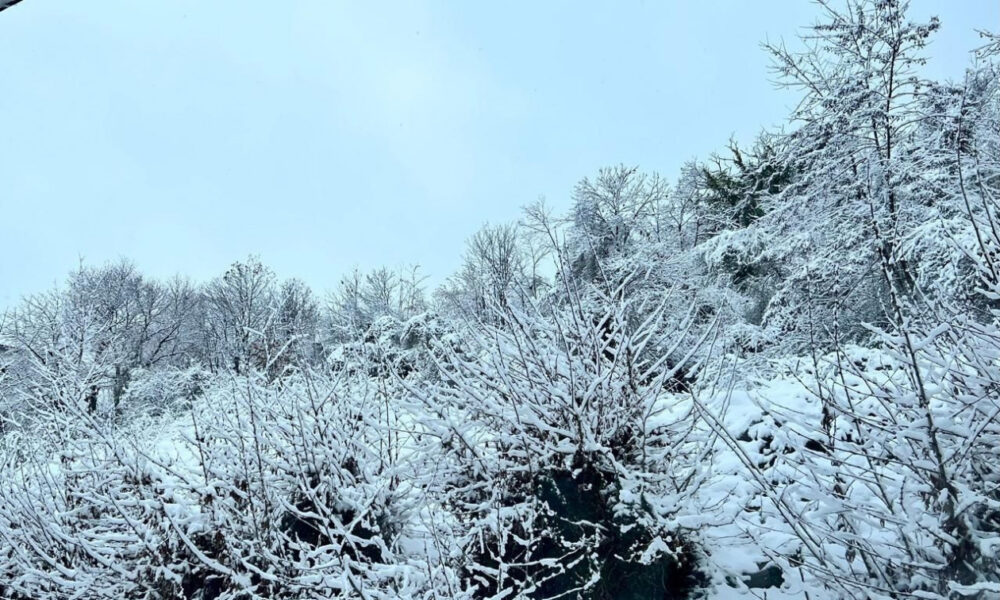 kairos-voutia-tis-thermokrasias-me-chionoptoseis-se-chamila