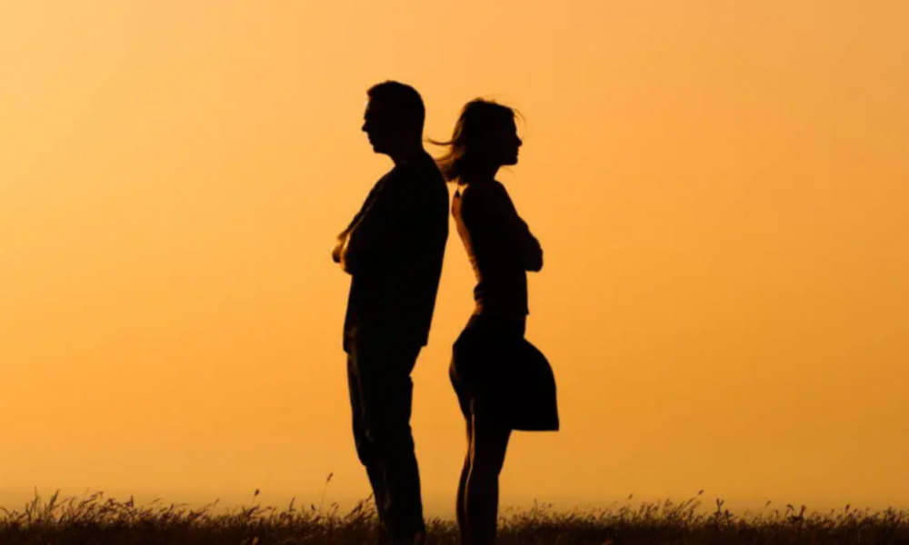 thumb__800_0_0_0_auto