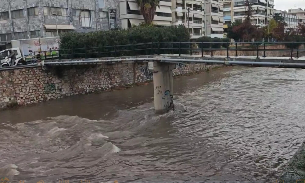 Screenshot-2026-01-21-105052