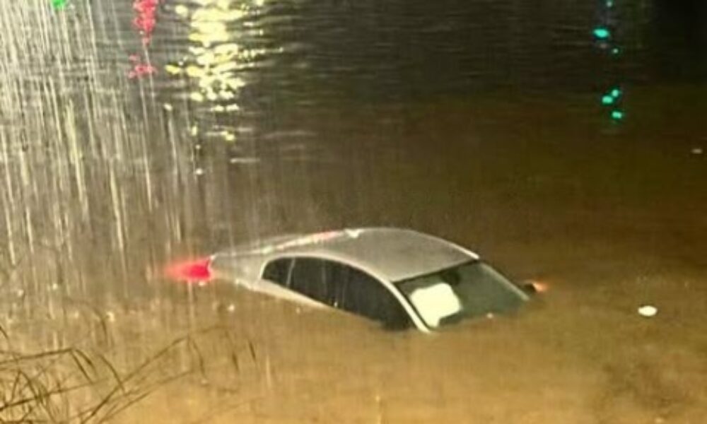 wmremove-transformed