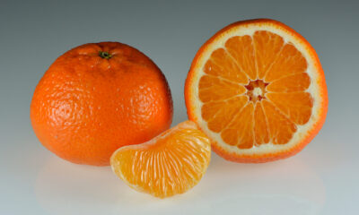 Stacked from 9 images