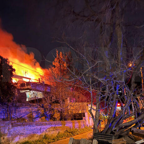 IMG_1172-1044×739-1