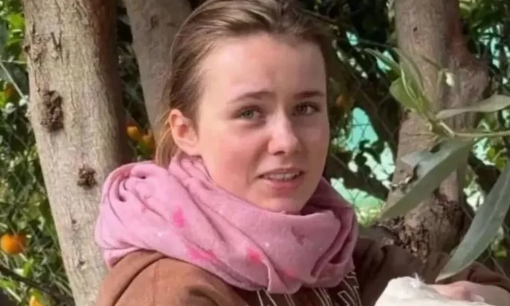 aftomato-proschedio-3