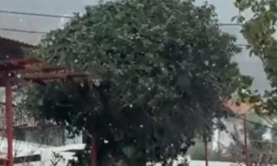 tora-xekinise-na-chionizei-deite-pou-kai-vinteo