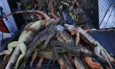 Χωρίς τίτλο